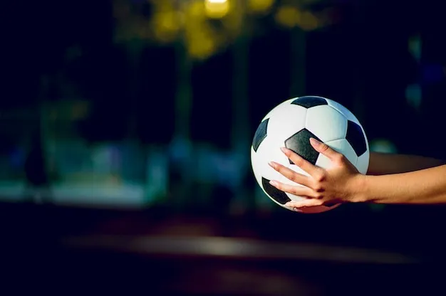 法甲直播体育 NBA 直播背景